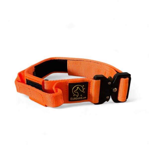 EuroJoe "Tactical" Halsbånd med hank, Orange
