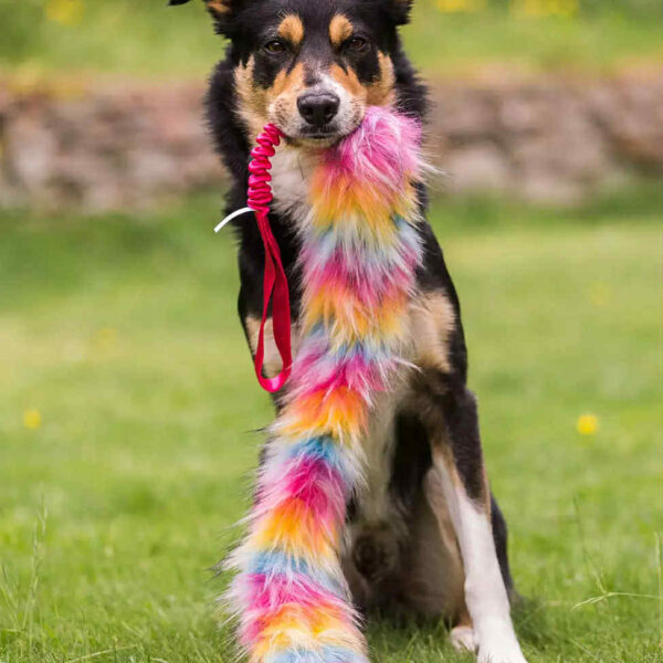 Doggie-Zen - Træklegetøj