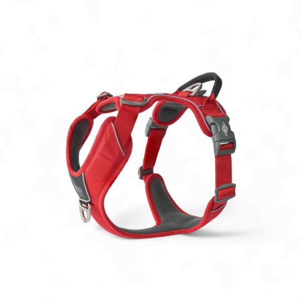 Dog Copenhagen - Comfort Walk Pro™ Sele