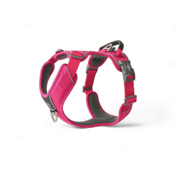 Dog Copenhagen - Comfort Walk Pro™ Sele