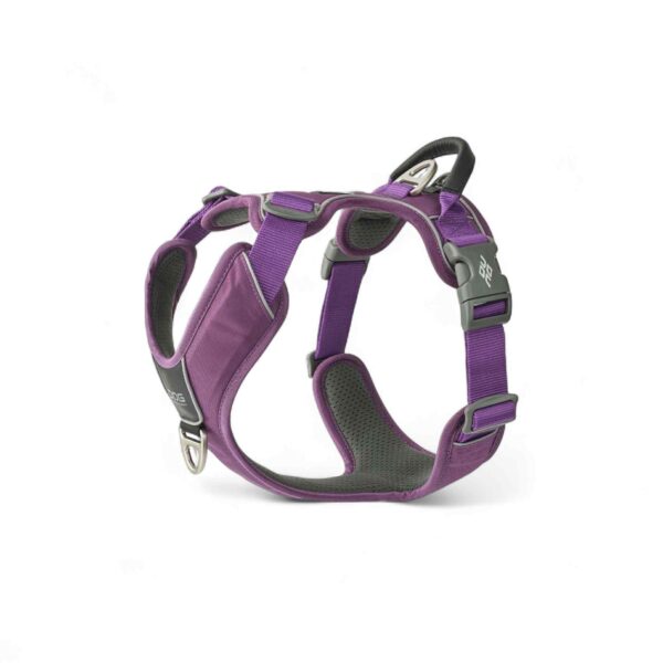Dog Copenhagen - Comfort Walk Pro™ Sele