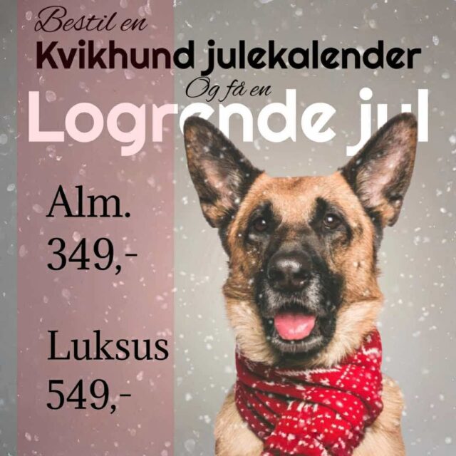 Julekalender til hunde