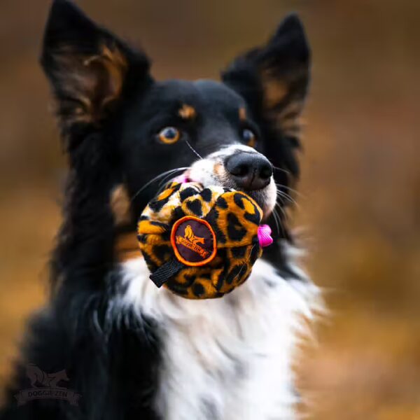 Doggie-Zen - Belønningsbold, M