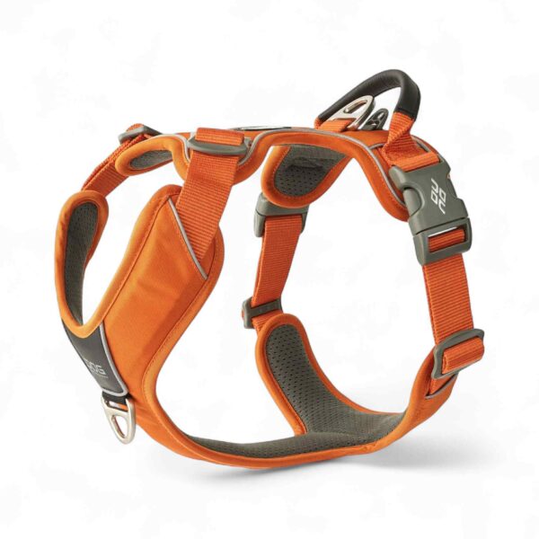 Dog Copenhagen - Comfort Walk Pro™ Sele, Orange