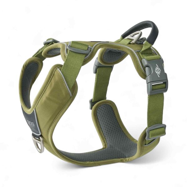 Dog Copenhagen - Comfort Walk Pro™ Sele, Grøn