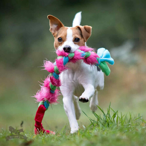 Doggie-Zen -Træklegetøj