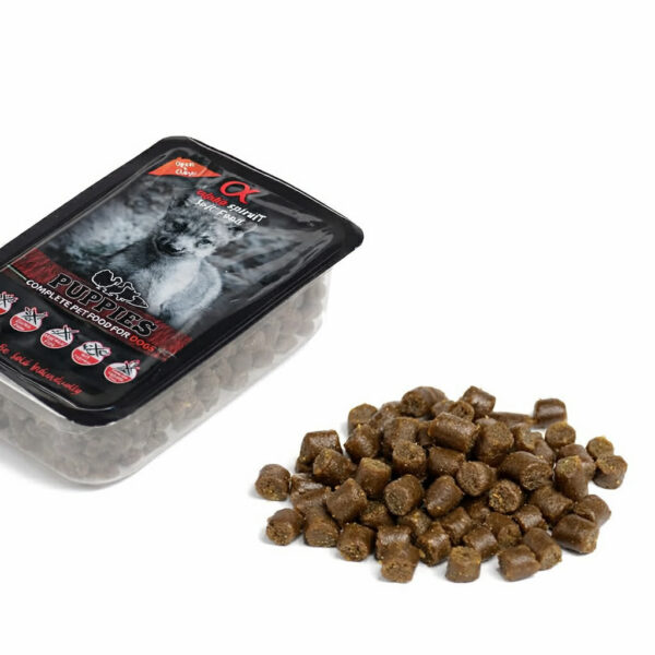 Alpha Spirit - Puppy