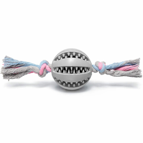 Companion - Gummibold med reb