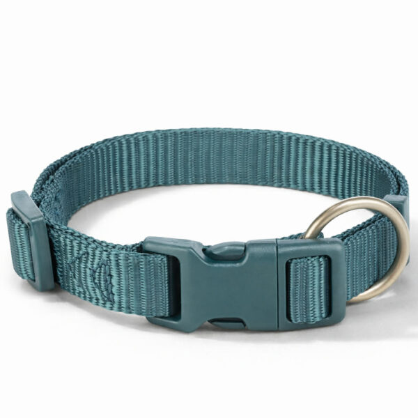 Trixie - Premium Hundehalsbånd, Petrol