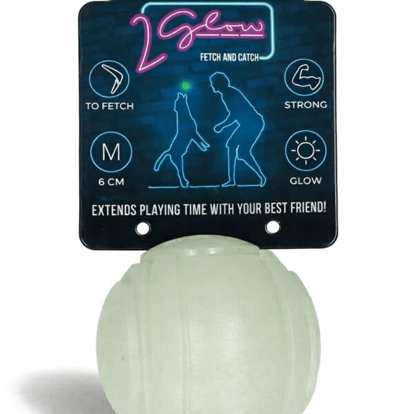 GLOW Fetch and Catch lysende bold