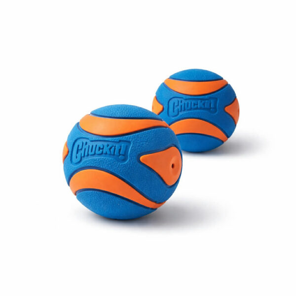 Chuckit Ultra Squeaker Ball medium