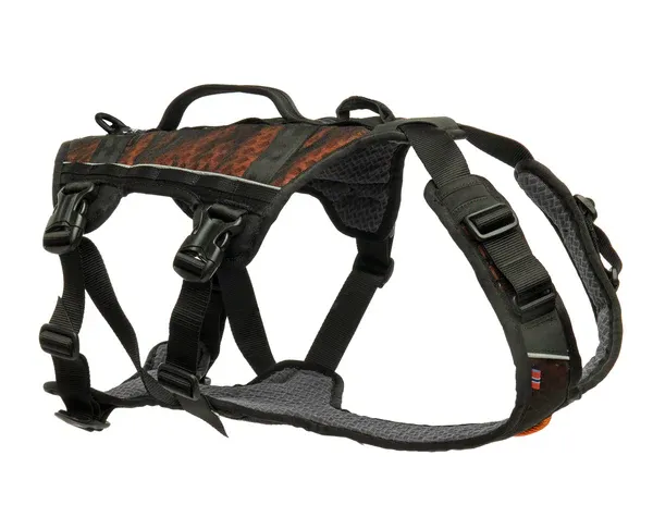 Non stop - Rock harness long