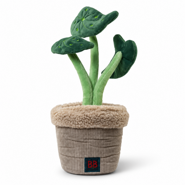 B&B - Pawtanic Garden plante, snusetæppe