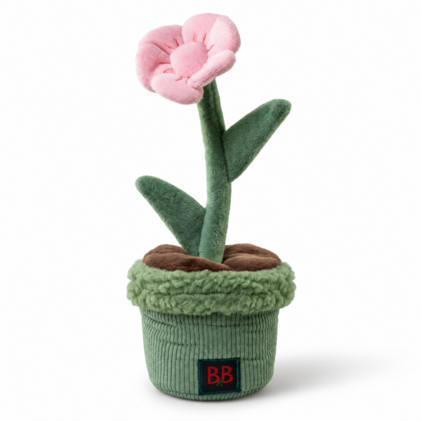 B&B - Pawtanic Garden blomst, snusetæppe