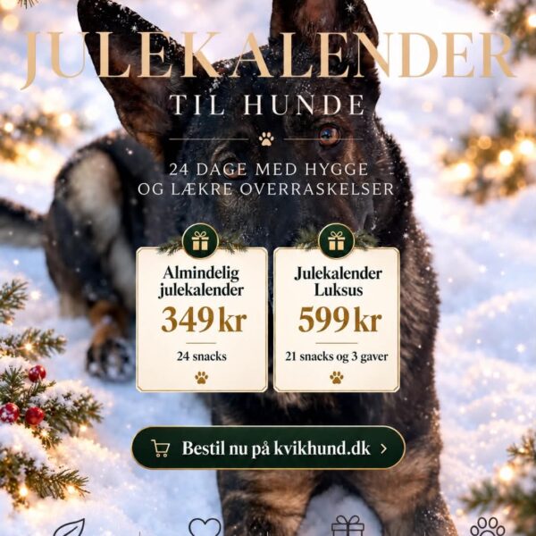 Julekalender til hund